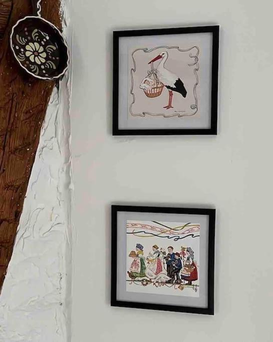 Nouvel Appartement, Le Colombage Heureux Sélestat Екстериор снимка