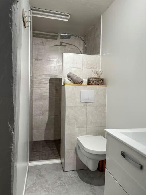 Nouvel Appartement, Le Colombage Heureux Sélestat Екстериор снимка
