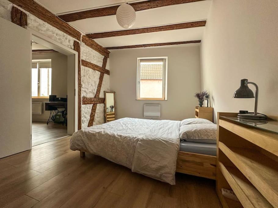 Nouvel Appartement, Le Colombage Heureux Sélestat Екстериор снимка